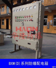 廠銷好產(chǎn)品bxm系列防爆配電箱
