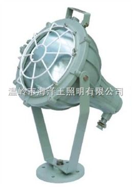 cbt51or cbt51系列防爆無極投光燈 工廠防爆燈 智能制造網
